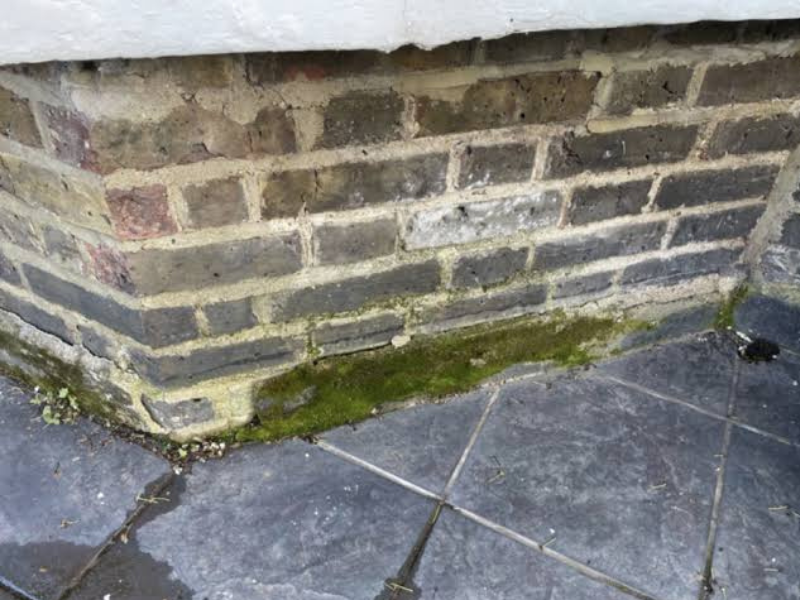 Moss and green staining at a wall base where paving sits close to the brickwork