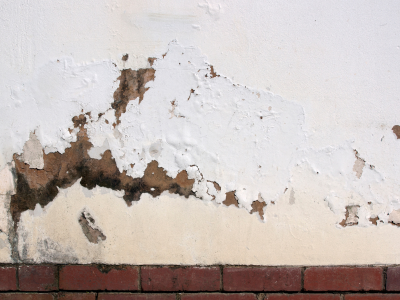 Render blistering and salt staining above a brick base, a typical sign of rising damp on an exterior wall