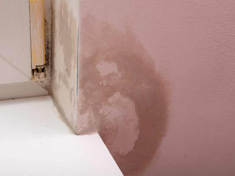 Moisture staining and damaged decoration around a window corner before a ventilation assessment